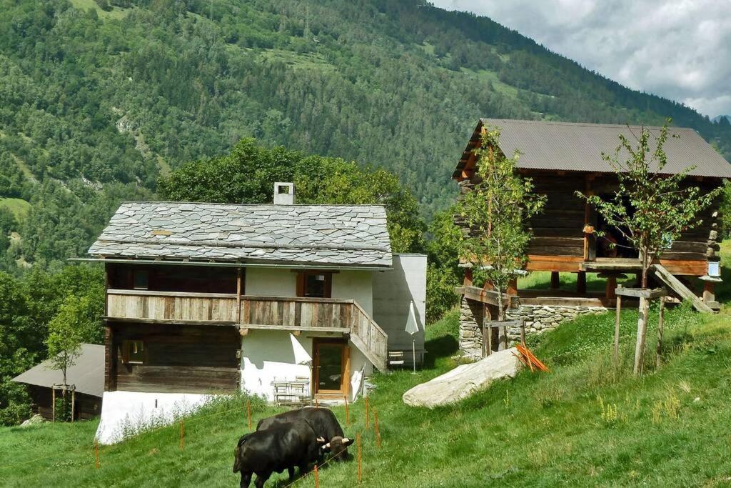 Appartement "Le Ver Luisant" A Saint-Martin, Val D'Herens, Valais Bagian luar foto
